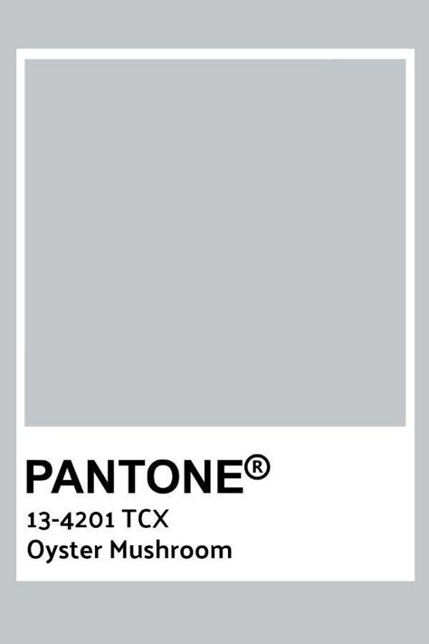 Pantone Tcx, Pantone Green, Customer Profile, Pantone Color Chart, Pantone Swatches, Color Knowledge, Pantone Palette, Pantone Colour Palettes, Oyster Mushroom