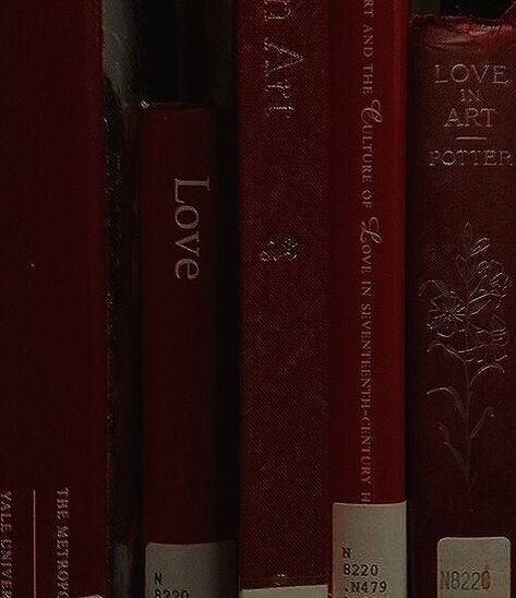 Maroon Aesthetic, Burgundy Aesthetic, Gryffindor Aesthetic, Guided Art, I See Red, Cherry Wine, Dark Feminine Aesthetic, Red Books, Red Walls