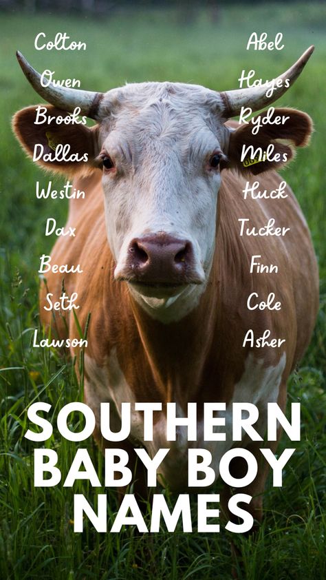 Southern Baby Boy Names, Country Boy Names, Western Baby Names, Cowboy Names, Cow Names, Baby Name List, Western Babies, Farm Baby, Name List