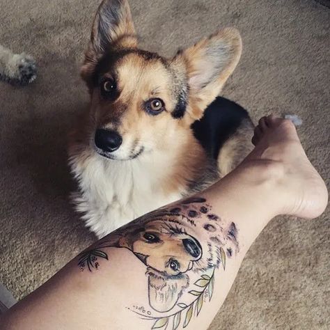 The 15 Coolest Tattoos For Corgi Lovers Coolest Tattoos, Coolest Tattoo, Corgi Tattoo, Animal Magazines, Friendly Dogs, Paw Care, Corgi Owner, Funny Corgi, Realistic Tattoo