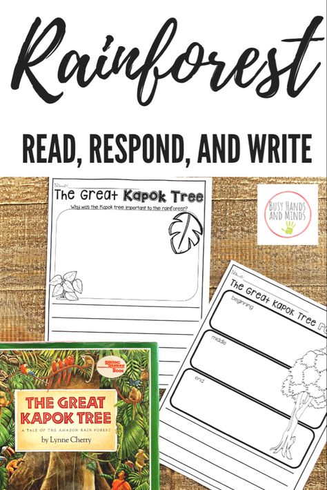 Great Kapok Tree Activities, Rainforest Unit Kindergarten, The Great Kapok Tree Activities, Rainforest Activities 2nd Grade, Rainforest Unit Study, Rainforest Kindergarten, Kapok Tree Activities, The Great Kapok Tree, Jungle Theme Activities