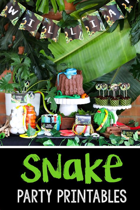 Get these amazing Jungle Snake Party ideas including snake party invitations, snake party banners and snake party decorations and cake ideas! Snake Cakes, Snake Birthday, Custom Scrambler, Snake Party, Reptile Party, Party Invite Design, Animal Birthday Party, Scrambler Motorcycle, Jungle Party