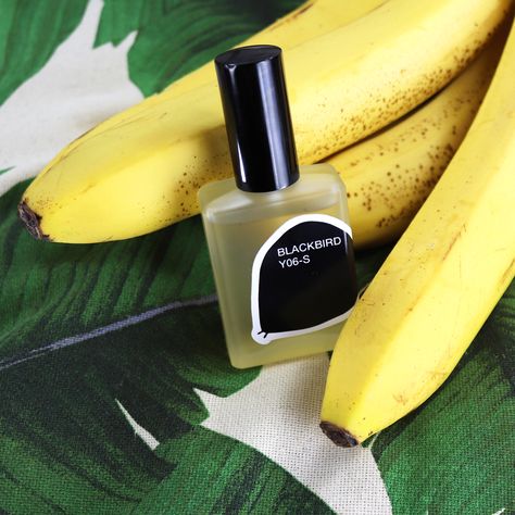 Blackbird Y06-S is a Cruelty Free Perfume that Smells Like Bananas! It's very layered and complex vegan perfume - the banana smell wears off very quickly to give you a sophisticated, long-lasting jasmine scent. Banana Skin Care, Banana Perfume, Banana Milk Lotion, Pineapple Perfume, Banana Scented Products, Banana Extract, Products Recommendations, Jasmine Perfume, Free Gift Idea