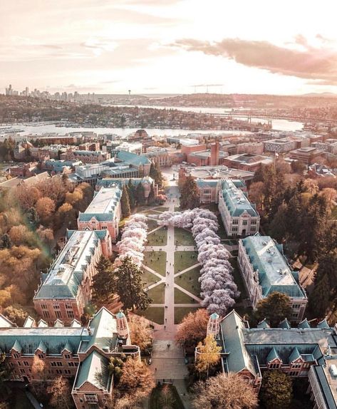 College University Campus, Seattle University Campus, University Of Washington Seattle Campus, University Of Washington Campus, Washington State University Aesthetic, Aesthetic College Campus, University Architecture College Campus, University Of Washington Seattle Aesthetic, Washington University Aesthetic