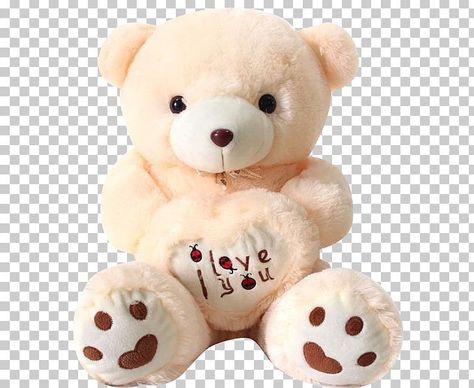 Teddy Bear Png For Editing, Png Teddy Bear, Png Bear, Bear Png, Iphone Background Images, Gift Ribbon, Dream Gift, Toy Doll, Editing Background