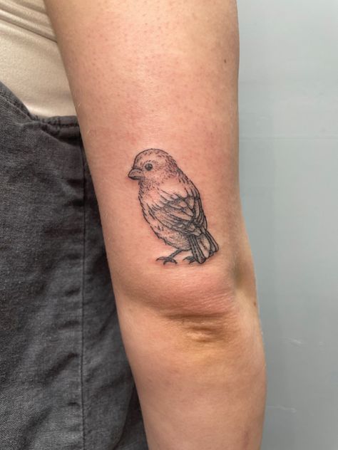 Bird On Elbow Tattoo, Bird Tattoo Elbow, Bird Thigh Tattoo, Bird Bath Tattoo, Baby Bird Tattoo, Fat Bird Tattoo, Small Finch Tattoo, Finch Tattoo, Finch And Flower Tattoo