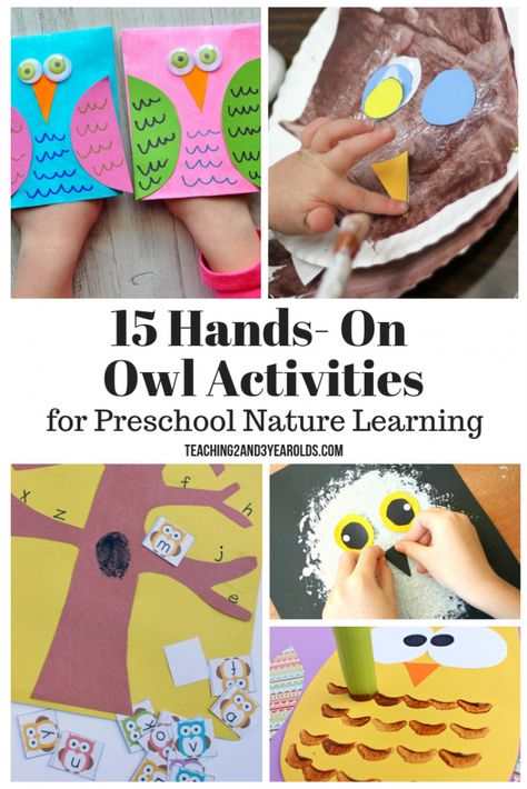 his collection of preschool owl activities is a great addition to your preschool nature theme. A hands-on fun way to learn about the outdoors! Fall Preschool Science, Owl Activities For Preschool, Owl Preschool, Snowy Owl Craft, Owl Activities, Fall Activities For Toddlers, Night Creatures, Owl Craft, Preschool Winter