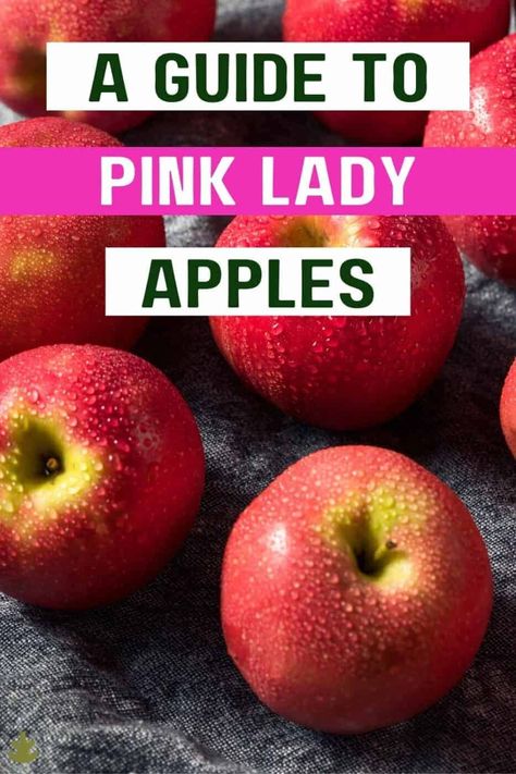 Pink Lady Apples (1) Pink Lady Apple Pie, Pink Lady Apple Tree, Pink Lady Apple Recipes, Pink Lady Apples Recipes, Apple Tree Care, Apple Facts, Dutch Apple Pie Recipe, How To Make Pink, Dutch Apple Pie