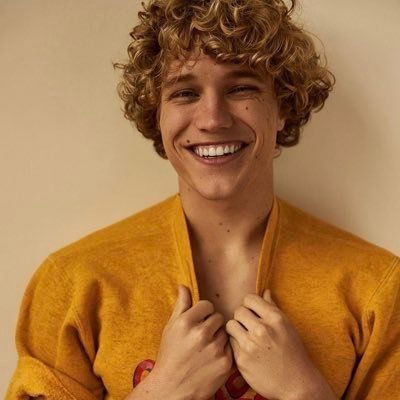 Brown Hair Male, Sandy Blonde Hair, Men Blonde Hair, Blonde Hair Boy, Blonde Hair Brown Eyes, Brown Curly Hair, Golden Blonde Hair, Blonde Curly Hair, Sandy Blonde