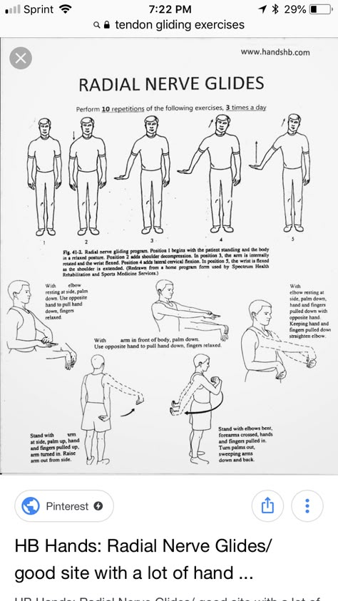 Radial Nerve Exercises, Radial Head Fracture Physical Therapy, Neurological Physical Therapy, Radial Nerve Injury, Ulnar Nerve Stretch, Nerve Glides, Nerve Flossing, Hand Therapy Exercises, Physiotherapy Exercises