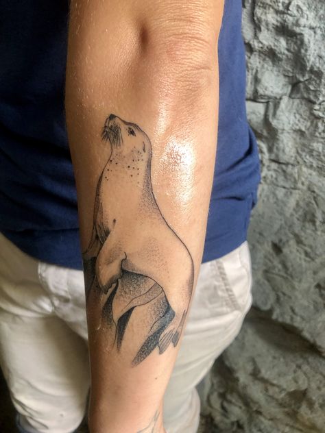 Arctic Animal Tattoo, Lion Tattoo Simple, Sea Lion Tattoo, Sea Lion Art, Seal Tattoo, Tattoo Lion, Favorite Tattoos, Tattoo Simple, Sleeves Ideas