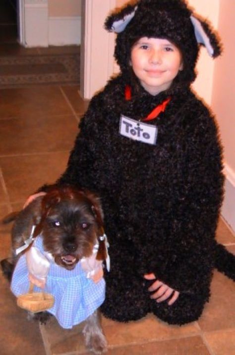 A simple costume I made for my daughter for a Halloween Parade.  The concept was more important than the costume. She was Toto and the dog is dressed like Dorothy. The costume was a simple... Wizard Of Oz Toto, Dorothy And Toto, Halloween Parade, Easy Costumes, For My Daughter, Holiday Diy, Diy Costumes, Wizard Of Oz, The Dog