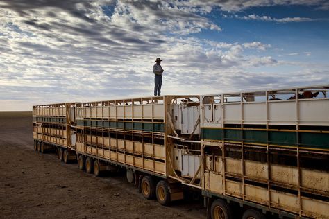 Australian Cattle Station, Cattle Station Life, Cattle Station Australia, Australian Station, Country Life Photography, Cattle Station, Australia Outback, Ringers Western, Outback Australia