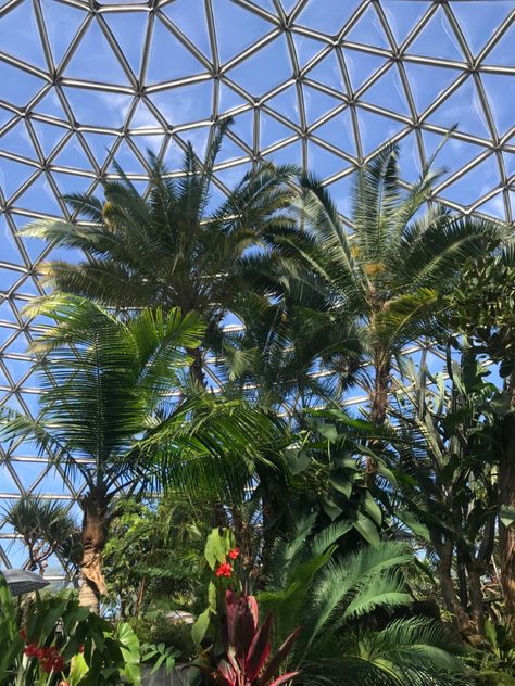 Bloedel Conservatory, Summer 2022, Building, Plants, Travel