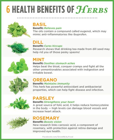 6 Health Benefits of Herbs  For Health & Wellness Tips, Gardening Tips, Homesteading Ideas & More visit www.GrowRealFood.com Mint Benefits, Parsley Benefits, Benefits Of Herbs, Herbal Academy, Herbs Garden, Nasal Passages, Boost Immune System, Herbs For Health, Stomach Ache