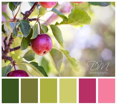 apple green color palette | Green Colors Apple Orchard Color Palette, Kitchen Palette, Apple Green Color, Decorating Wedding, Apple Blossoms, Apple Coloring, Green Colour Palette, Colour Combo, Apple Orchard