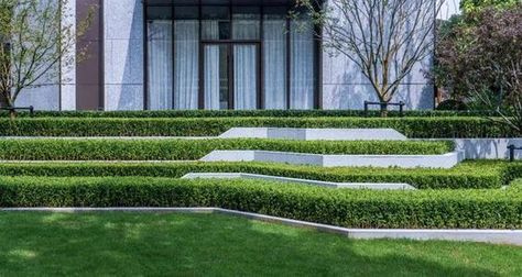 Cascading Planter, Tiered Landscape, Terraced Landscaping, Sea Garden, Factory Architecture, Urban Landscape Design, Evergreen Plants, House Landscape, Facade Architecture