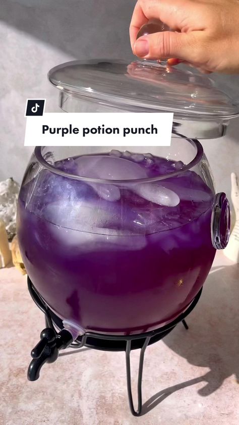 Purple potion punch is the easiest Halloween Party Punch #halloweenre... | purple punch recipe | TikTok Purple Halloween Punch, Polyjuice Potion Punch, Purple Punch Recipes, Potion Punch, Halloween Party Punch, Purple Potion, Butterfly Pea Flower Tea, Recipe Tiktok, Halloween Punch