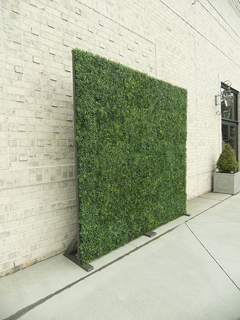 Fake Plant Backdrop, Photo Backdrop Business, Wedding Green Wall Backdrop, Greenery Background Photo Backdrops, Diy Green Wall Backdrop, Boxwood Photo Backdrop, Masculine Backdrop, Diy Greenery Wall Backdrop, Diy Grass Backdrop