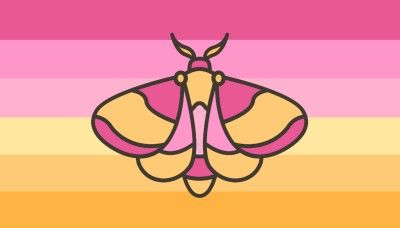 Not mine. A gender connected to rosy maple moths and pink lemonade. This gender may feel sweet and slightly feminine but it does not have to. By dragonflymerchant on Tumblr Moth Xenogender, Moth Gender, Xenogenders Flags, Rosy Maple Moth, Xeno Hoard, Xenogender Hoard, Gender Pronouns, Gender Flags, Gotta Catch Them All