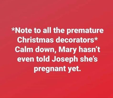 Not to all the premature Christmas decorators: Calm down, Mary hasn't even told Joseph she's pregnant yet. Christmas Meme, Christmas Memes, Me Me, Holiday Humor, Christmas Quotes, Calm Down, Sarcastic Humor, Dad Jokes, Sarcastic Quotes