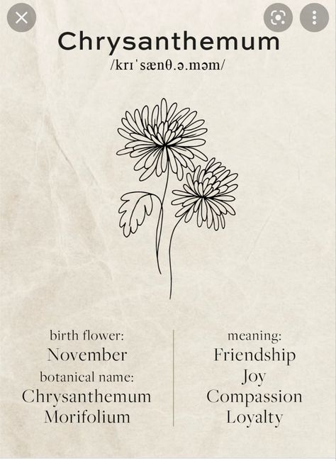 Birthflower November, Flower Definitions, Handwritten Logo Design, Victorian Language, Grace Tattoos, Small Girly Tattoos, Rune Tattoo, Handwritten Logo, Petite Tattoos