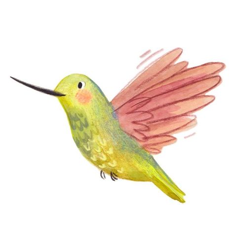 Hummingbird Illustration, Animal Illustration Kids, Illustration Art Kids, Children Sketch, Bio Art, Summer Illustration, Picture Books Illustration, Easy Drawings For Kids, New Picture