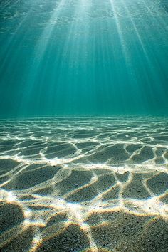 Water Refraction, Under Water Photography, Matka Natura, Belle Nature, Ocean Floor, New Backgrounds, Underwater Photography, Sea And Ocean, Ocean Photography