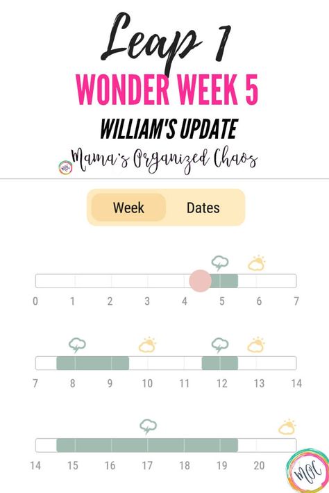 Wonder Weeks Leap 1 – William’s Experience Wonder Weeks Leaps, Newborn Baby Hacks, Baby Developmental Milestones, Wonder Weeks, Toddler Parenting, Newborn Hacks, Developmental Milestones, Organized Chaos, Before Baby