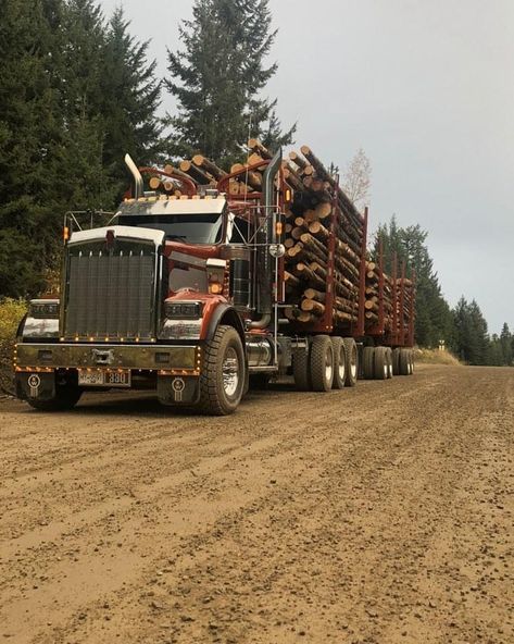 logging trucks and more on Instagram: “Nice looking unit thanks @duell05  Go follow for more #kenworth #W900 #customtrucks #trucksdaily #diesel #trucks #trucking #equipment…” Hunting Truck, Log Truck, Logging Trucks, Truck Mechanic, It’s A Wonderful Life, Kenworth W900, Logging Equipment, Old Muscle Cars, Kenworth Trucks