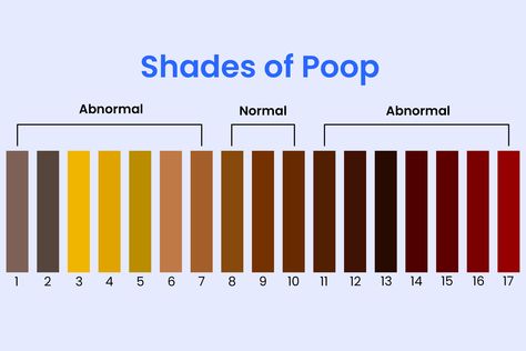 Yellow Poop: What Does It Mean and Should I Be Worried? Poop Meaning, Gilbert's Syndrome, Bile Salts, Canker Sore, Disease Symptoms, Abdominal Pain, Alternative Health, Food Allergies, Digestive Health