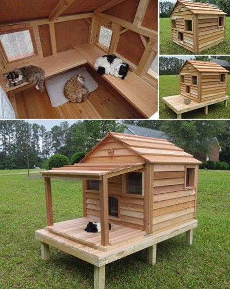 Cat Shelters, Katt Diy, Cat House Plans, Katt Grejer, Niche Chat, Cat House Diy, Feral Cat, Dog Kennels, Outdoor Cat House