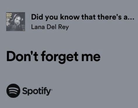 Lana Del Rey Lyrics, Dont Forget Me, Me Too Lyrics, Song Quotes, Lana Del Rey, Knowing You, Did You Know, Writing, Songs