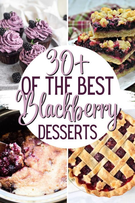 Best Blackberry Recipes, Blackberry Recipes Easy Simple, Desserts With Blackberries, Things To Make With Blackberries, What To Do With Blackberries, Blackberry Recipes Savory, Canned Blackberry Pie Filling, Wild Blackberry Recipes, Blackberry Pie Filling Recipes