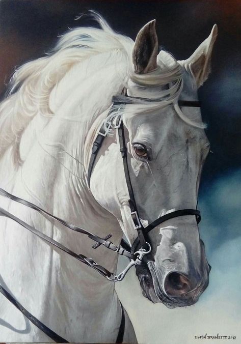 Horse art Beautiful Arabian Horses, Horse Artwork, Most Beautiful Horses, Most Beautiful Animals, Horse Portrait, Horse Drawings, 수채화 그림, Equine Art, White Horses