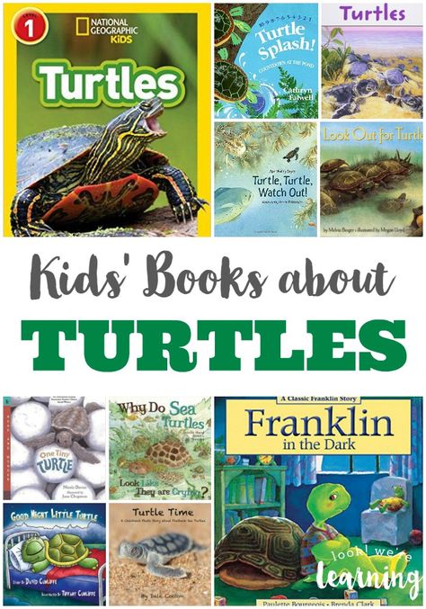 These Books about Turtles for Kids are awesome for learning about these slow-moving animal friends! Turtle Classroom, Turtle Activities, Turtle Theme, Weather Science, Box Turtle, Pond Life, Best Children Books, Living Books, Patriotic Crafts