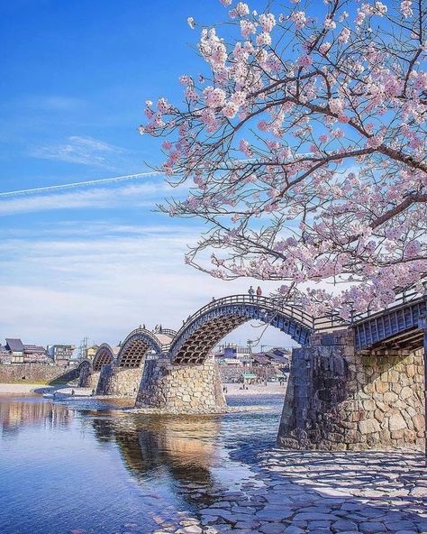 Cherry Blossom Bridge, Bridge Background, Dnd Places, Yamaguchi Prefecture, Winter In Japan, Japanese Bridge, Background Reference, California Architecture, Spring Scenery