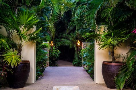 Hawaiian Exterior Design, Tropical Entryway Ideas, Tropical Entryway, Beach House Pictures, Celeb Pictures, Beautiful Beach Houses, Beach Patio, Tropical Garden Design, Tropical Home