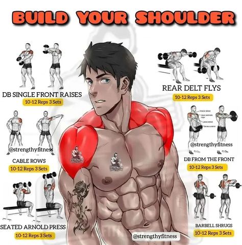 Delts Workout, Shoulder Workouts For Men, Push Day Workout, Shoulder Workout Routine, Cable Workout, Push Day, Gym Workouts For Men, Calisthenics Workout, Weight Training Workouts