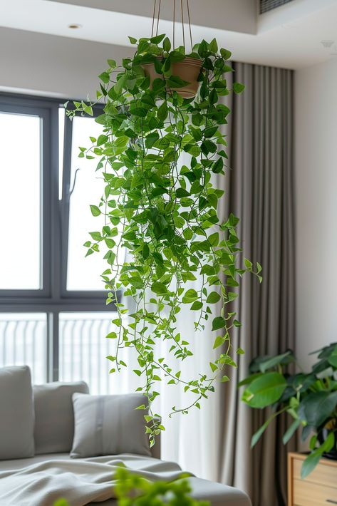 Indoor living space with fresh greenery, featuring lush hanging plants from the ceiling, adding a touch of nature to the modern décor. Hanging Plant Next To Tv, Plant Holder Ideas, Ideas For Hanging Plants, Hang Plants From Ceiling, Lunch Wedding, Hang Plants, Hanging Indoor Plants, Natural Interior Design, Color Theory Art