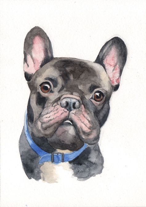 These adorable French Bulldog puppies are sure to put a smile on your face. #frenchbulldog #puppies . #Watercolor_French_Bulldog #French_Bulldog_Watercolor #French_Bulldog_Cartoon #Bichon_Frise_Art French Bulldog Watercolor, Bichon Frise Art, French Bulldog Cartoon, Grey French Bulldog, Realistic Animal Drawings, Royal Pet Portrait, Dog Watercolor Painting, Pet Portrait Paintings, French Bulldog Art