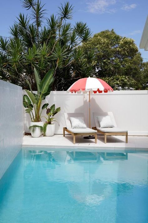 All white modern Hamptons style home with strelitzia plants in large white plant pots and sun loungers with a pastel Basil Bangs beach umbrella. Queenslander Architecture, Pool Plants, Hamptons Style Home, Outdoor Pool Area, Pool Finishes, Pool Renovation, Pool Landscape Design, White Plants, Beautiful Patios