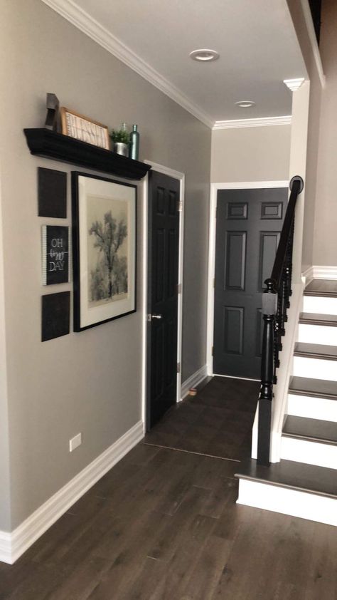 Dark Doors In Hallway, Black Door Interior White Trim, Tan Walls Black Doors, Molding Colors Ideas, White Walls With Black Trim, Black Doors Interior, Dark Interior Doors, Modern Hallway Ideas, Interior Door Colors