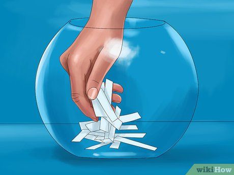 How to Play Fish Bowl (with Pictures) - wikiHow Fish Bowl Game Carnival, Fish Bowl Game Ideas, Ping Pong Fish Bowl Game, Fish Bowl Game Rules, How To Play Fish Bowl Game, Fighter Fish Bowl, Fish Bowl Game, Fishbowl Game, Games For Big Groups