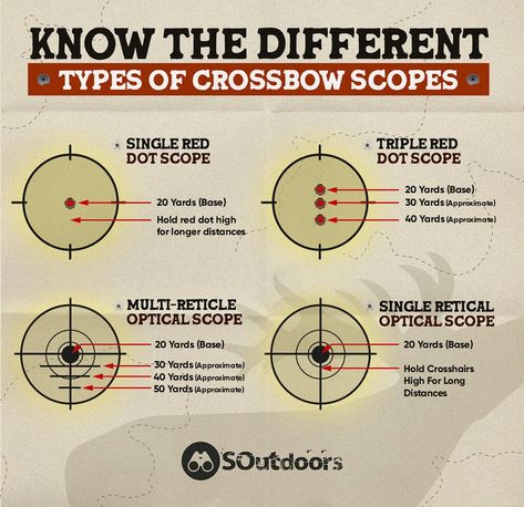 Crossbow Hunting Tips, Cross Bow, Crossbow Hunting, Hunting Tips, An Arrow, Crossbow, Scopes, Safety Tips, Archery