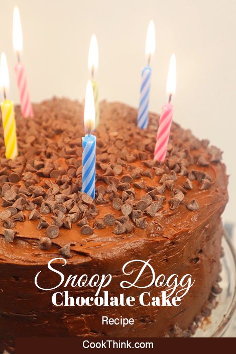 Snoop Dogg's Recipes, Snoop Dog Recipes, Snoop Dogg Recipe, Starburst Recipe, Chocolate Frosted Cake, Diy Birthday Cakes, Dogs Recipes, Paris Bakery, Frosted Cake