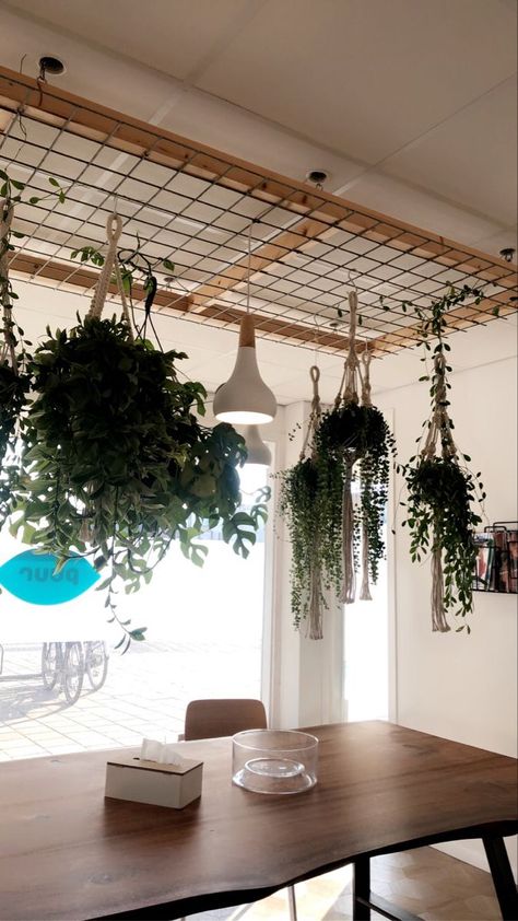 Plants High Ceilings, Plant Ceiling Hanger, Small Living Room With Tall Ceilings, Corner Ceiling Decor, Hanging Plants Indoor From Ceiling, Ladder Plant Hanger Ceiling, Lattice Plant Wall, Ceiling Plant Hanger Ideas, Hanging Plants From Ceiling