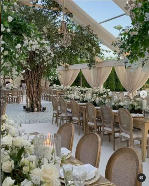 Garden Chic Wedding Decor, Trees Wedding Decor, Wedding Tree Decor, Garden Reception Wedding, Tree Wedding Reception, Day Time Wedding, Tree Wedding Decor, Married Decor, White Garden Wedding