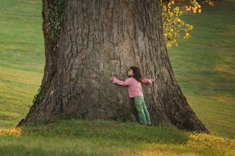 Old-Growth Forest Network Save Tree Save Earth, Sacred Grove, Tree Spirits, Sacred Groves, Leo Quotes, Leo Buscaglia, Save Trees, Tree Spirit, Beautiful Trees