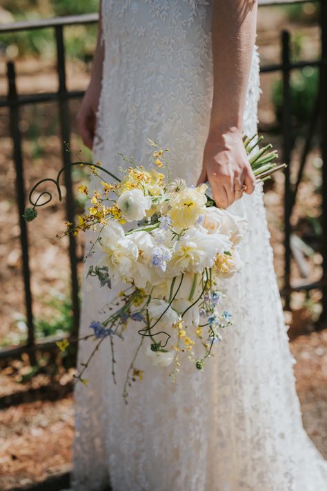 Fluffy white peonies with yellow oncidium orchids and accented with blue delphinium. Yellow Peonies Bouquet, White Yellow Blue Bouquet, Wedding Bouquet Daffodil, Light Blue Yellow Wedding, Orchid And Hydrangea Bouquet, White Bouquet With Pop Of Color, Pale Yellow And Blue Wedding, White Bouquet With Blue Accents, Blue Peonies Bouquet